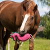 Qhp Horse Toy - Image